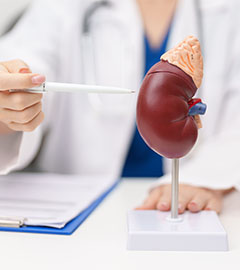 Nephrology