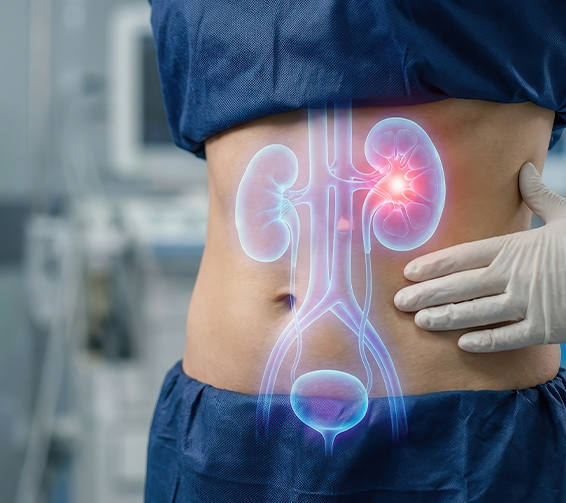 Urology